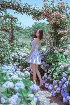 系统被宿主灌溉的日常小说