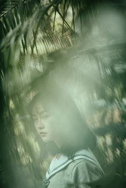 天才基本法电视剧免费观看