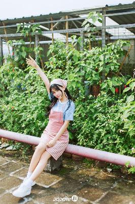 麻花影视MV免费观看完整版